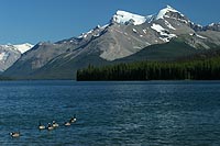 canada experience : lac maligne, jasper national park, alberta