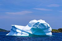 Terre-Neuve experience : twillingate iceberg boat tour avec icebergman
